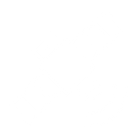 Satelital